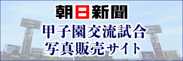 毎日 新聞 フォト ストア Pngfreegejpliny