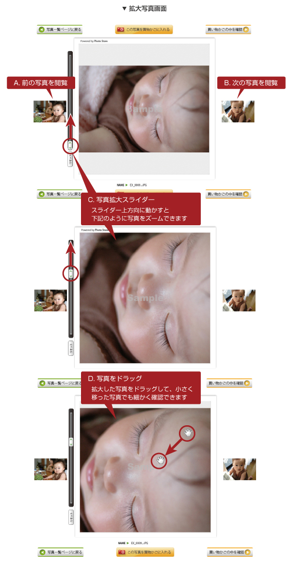 利用ガイド | ○○写真館 インターネットフォトサービス